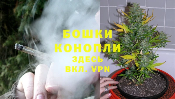 jwh Белокуриха