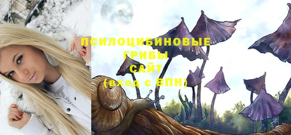 2c-b Белоозёрский