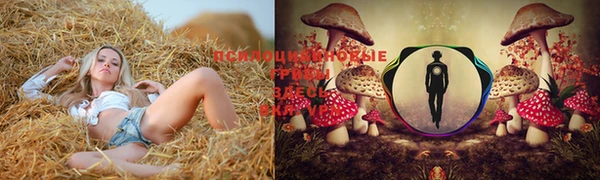 jwh Белокуриха